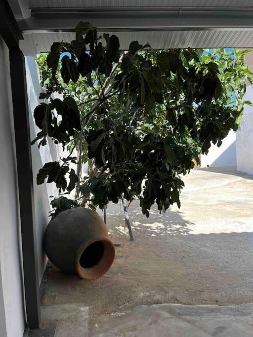 Graja de Iniesta Agradable Casa Con Chimenea Interior Y Barbacoa.ヴィラ エクステリア 写真